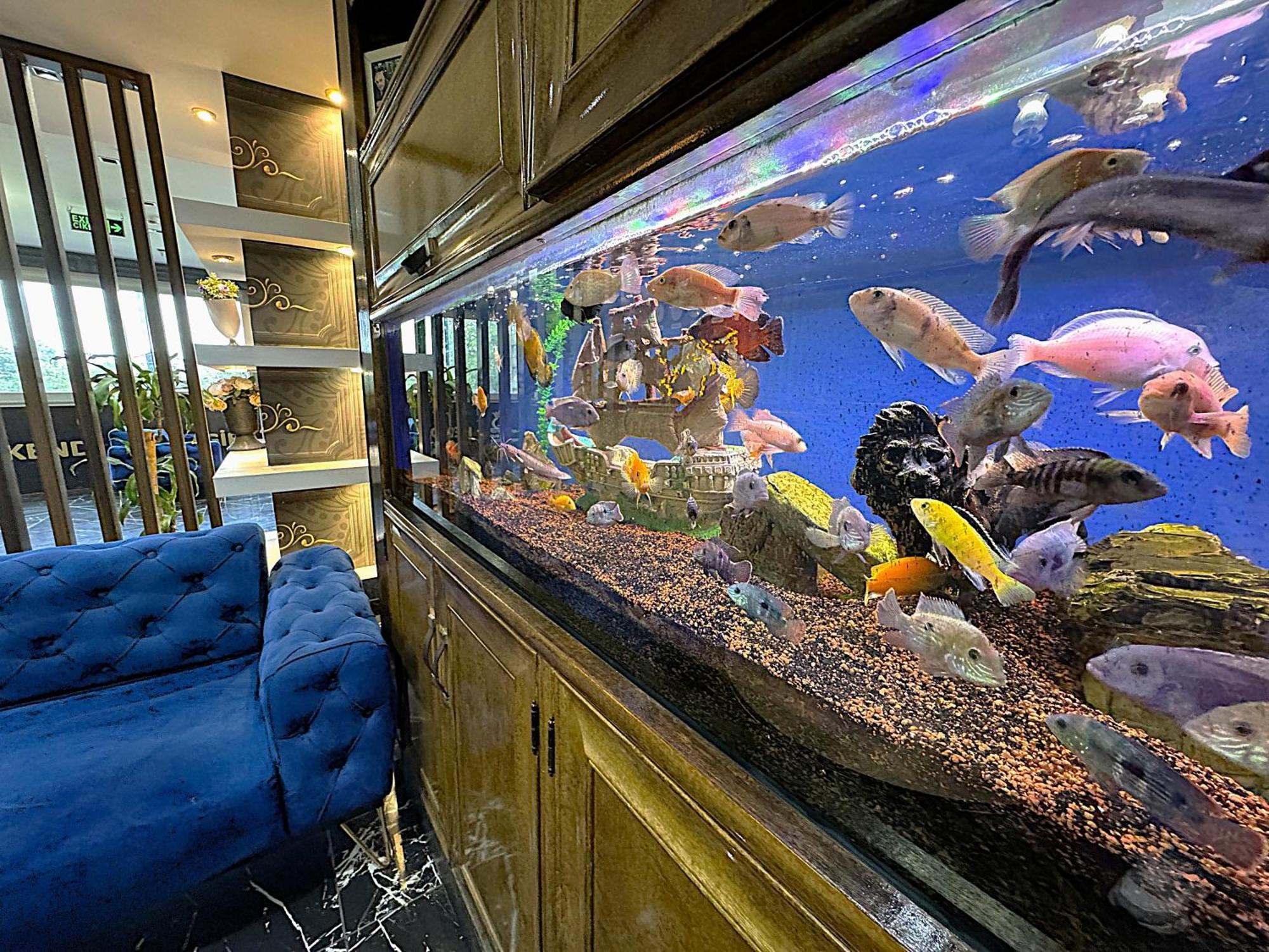 Grand Lara Hotel & Apartments Istanbul Luaran gambar